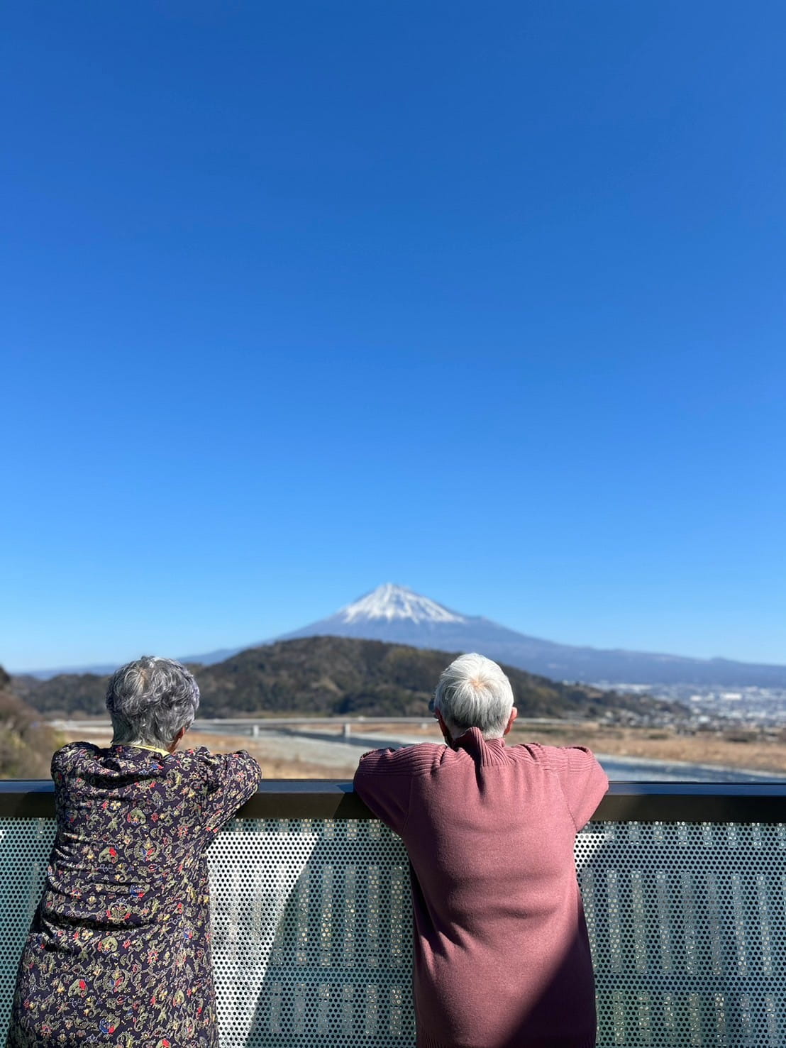 外出支援で富士山を望む展望スポットに出かけたご利用者様